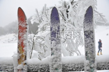 滑雪板