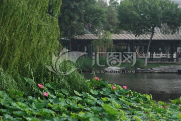 荷景