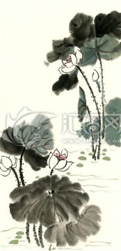 水墨荷花 原創(chuàng)高清掃描荷花