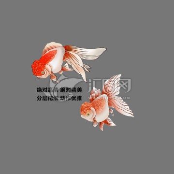 兩條小金魚