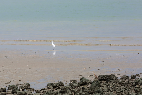 海边风光