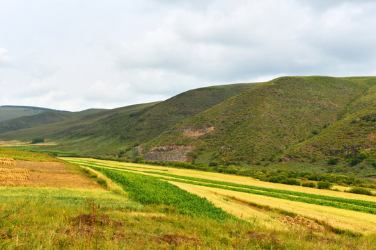 农田山野