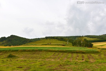 田园风光