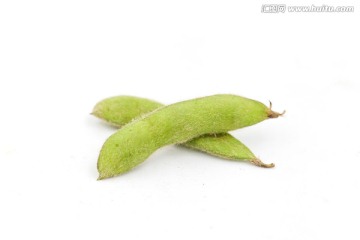 毛豆结