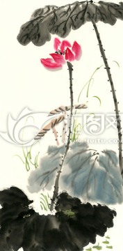 國(guó)畫(huà)荷花 水墨荷花