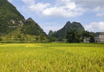 广西靖西鹅泉风光