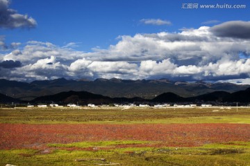 红草地 狼毒花 依拉草原