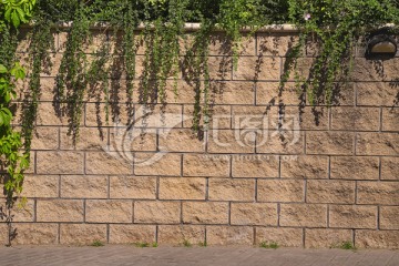 绿植 石墙 石砖墙