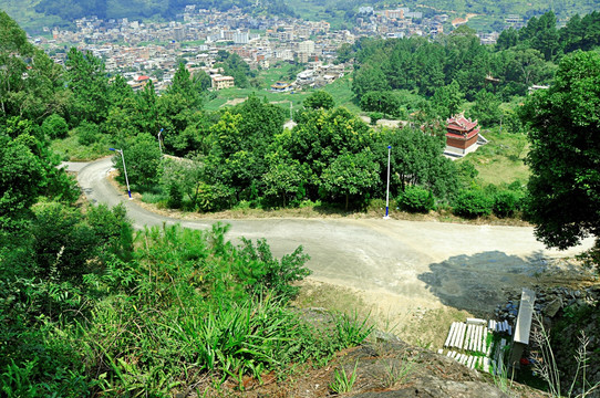 山路村子绿色树木