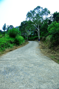 下坡的水泥道路