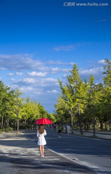 女孩行走在国外的林荫道上