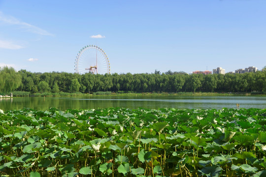 北京龙潭西湖公园