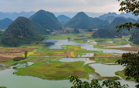 文山普者黑湿地风光