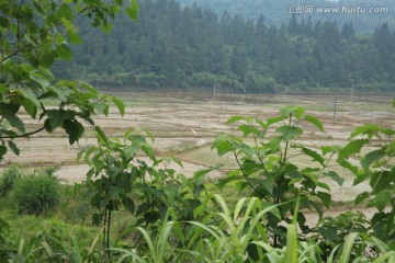 田园风光