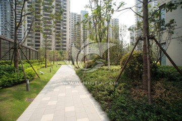 小区景观 小区园林 园林设计