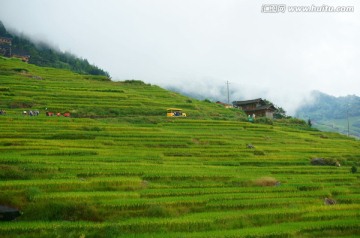 梯田 农家