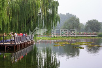 圓明園鳳麟洲九曲橋