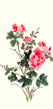 國(guó)畫牡丹