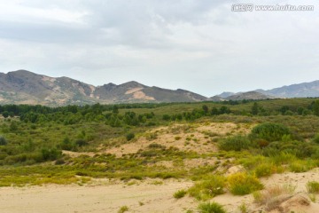 沙漠绿洲