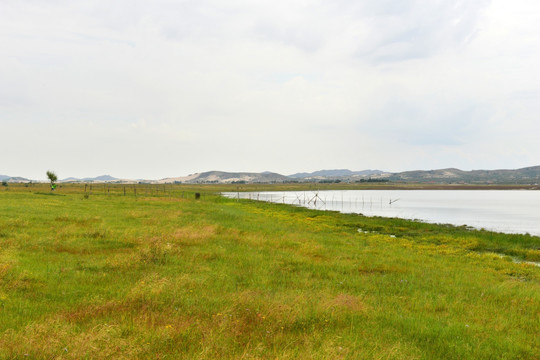 湖边 湖岸