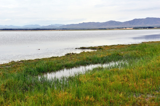 玉龙沙湖