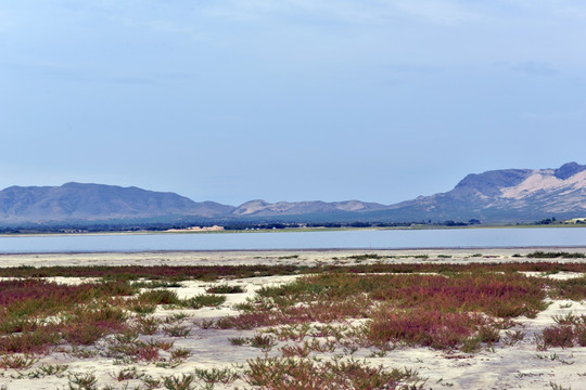 玉龙沙湖