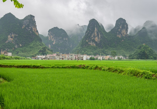 都康田园风光