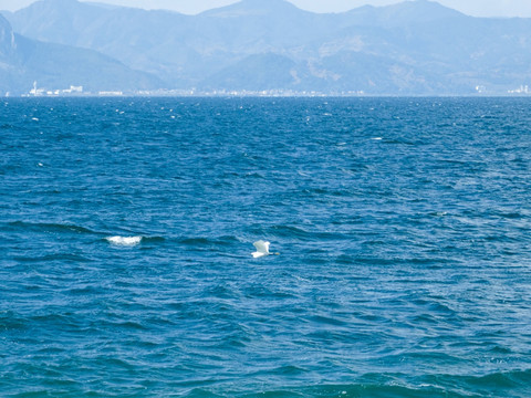 高原湖泊