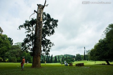 斯里拉卡植物园