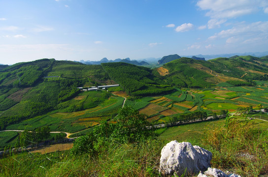 风景 森林植被