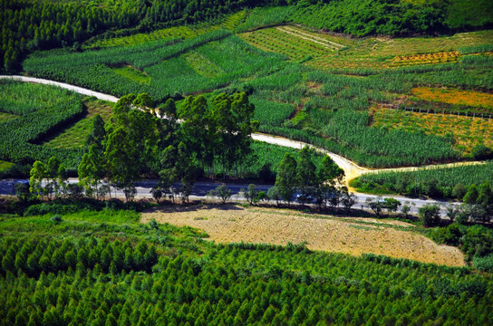 航拍 乡村公路