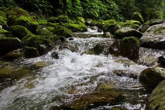 溪流 溪水