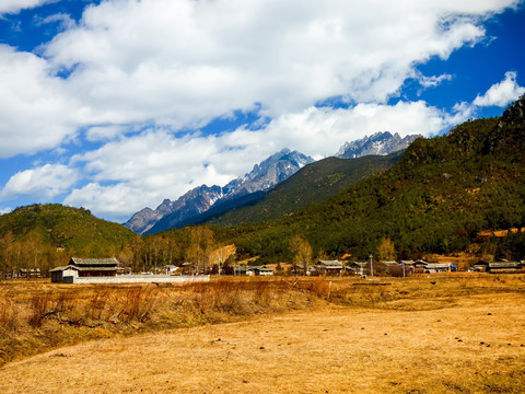 高原牧场