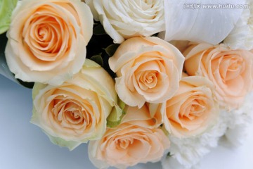 玫瑰花和康乃馨