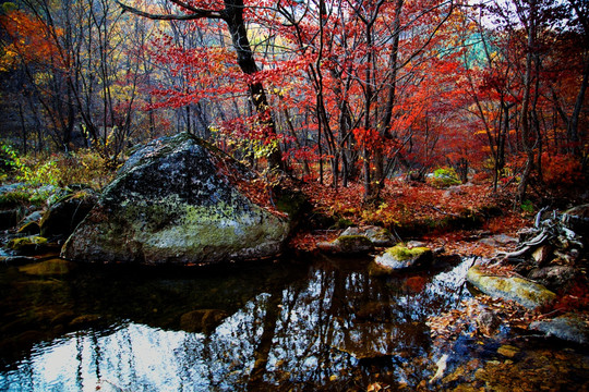 小溪山色