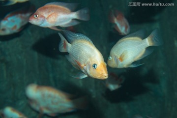 水族馆