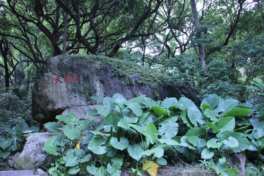 罗浮山风景