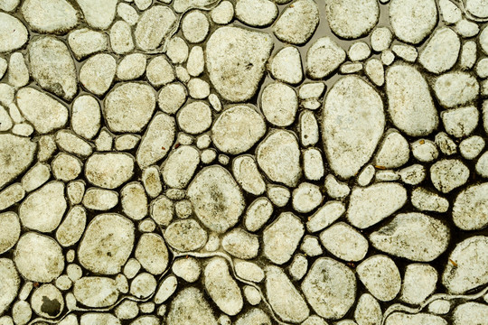 文化石 蘑菇石 石子墙