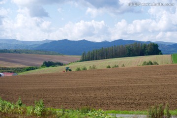 日本北海道美瑛