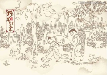 野生大棗