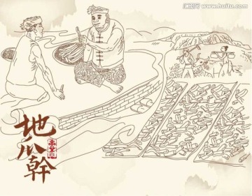 地瓜干