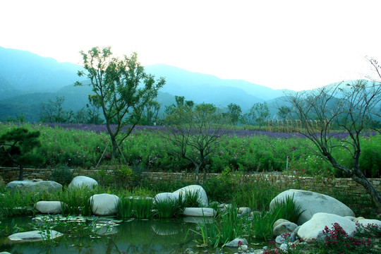 石头 湖水