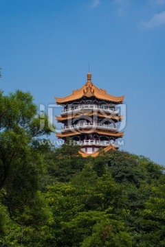 广州麓湖鸿鹄楼