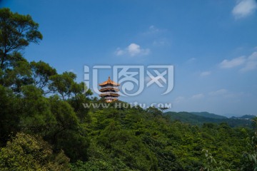 广州麓湖鸿鹄楼