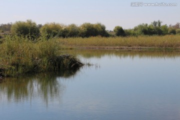 沼泽 湿地