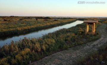 唐山三岛湿地生态