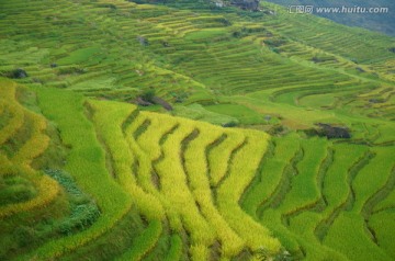 梯田