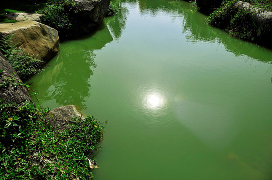 一潭死水