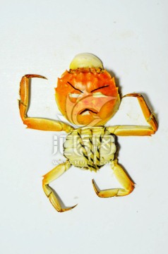 螃蟹 螃蟹创意图 创意造型