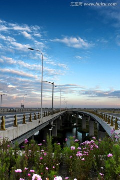 大庆 湿地 高架桥